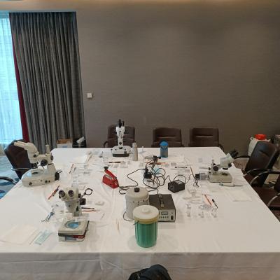 Img 20250903 125909 492