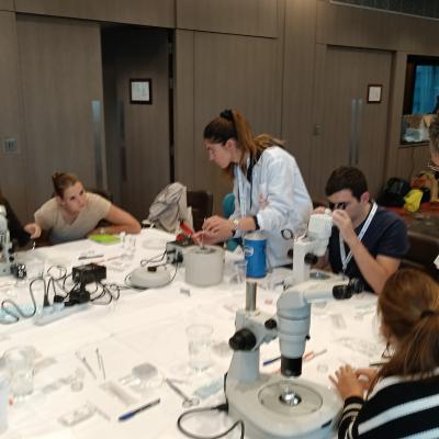 Img 20250903 145356 794